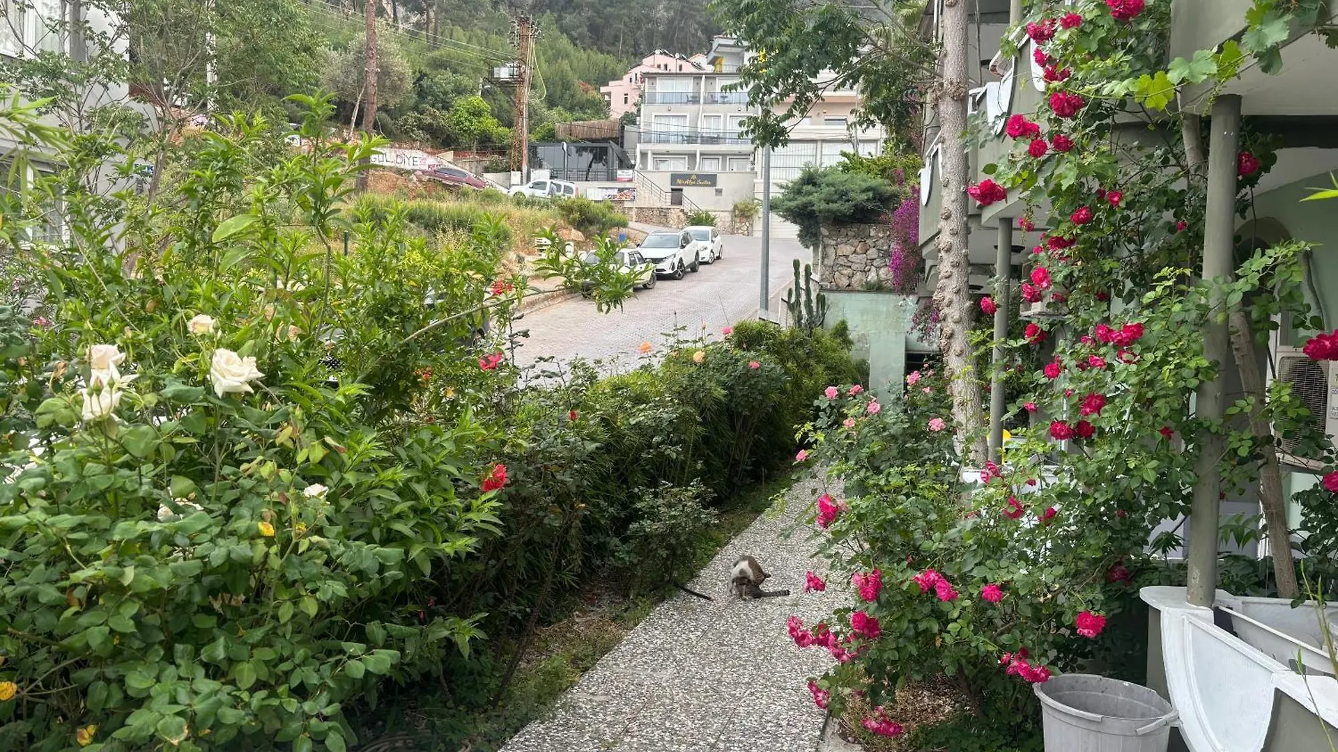 Ideal Pension Fethiye 5*,  Turkey
